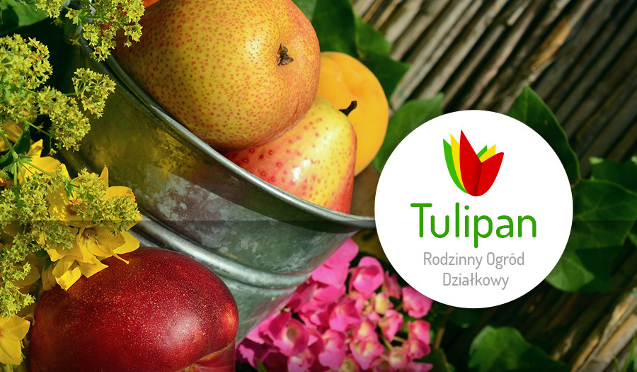 Siechnice: Rodzinne Ogrody Działkowe "Tulipan" w Siechnicach